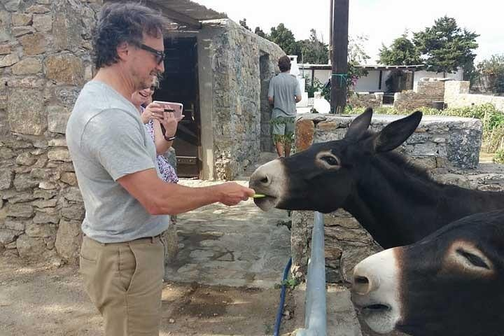 Visit the Mykonian Farm in Mykonos - Photo 1 of 10