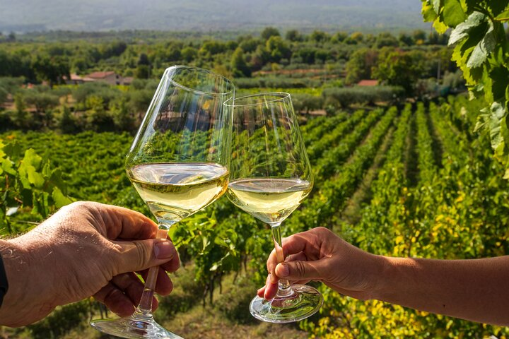 Wine Roads Private Day Tour: Corinth - Ancient Nemea & Wine Tasting - Photo 1 of 16
