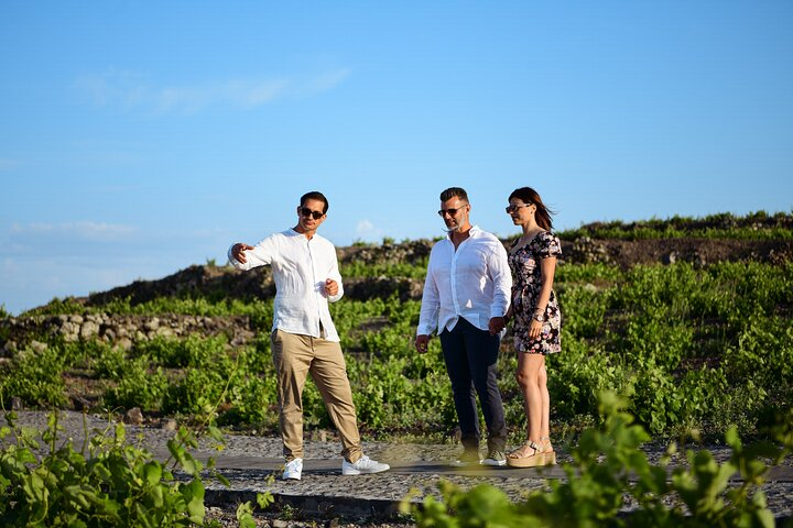 Premium Wine Tasting with Caldera Views - Photo 1 of 11