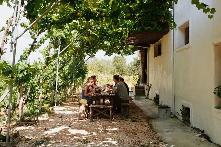 Vineyard Sips: Family Winery Tour & Gourmet Tasting in Corfu - Photo 1 of 14
