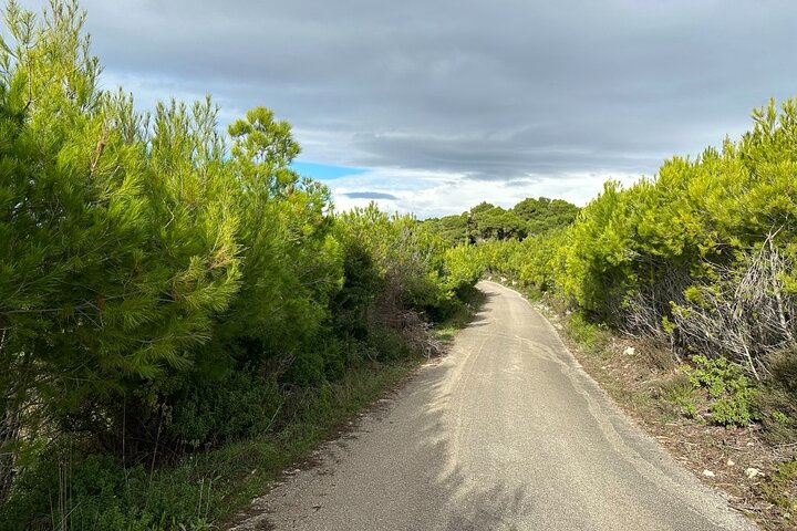 Zakynthos 4x4 Golden Hour Escape - Photo 1 of 15