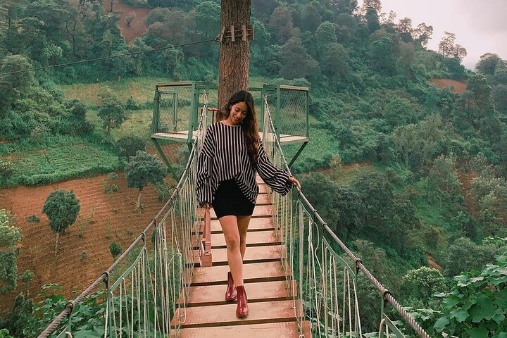 2in1 Tour: Avocado Farm + Private Tour in Antigua Guatemala - Photo 1 of 19