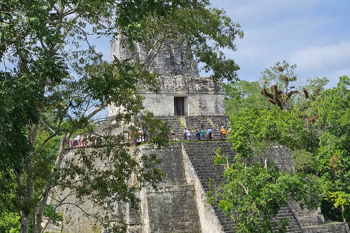 Tikal from Hotels in Flores, Airport, El Remate with Lunch - Photo 1 of 15