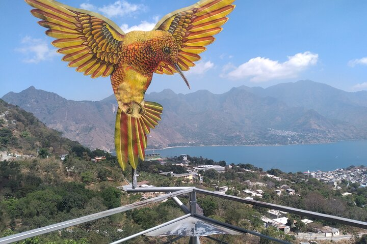 Colibri nest lookout point.