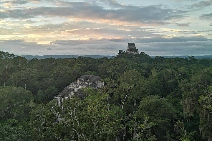 Tikal VIP Private Sunset Tour from Flores Guatemala - Photo 1 of 25