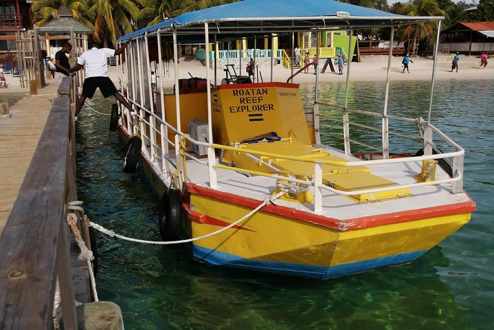 Glass bottom boat