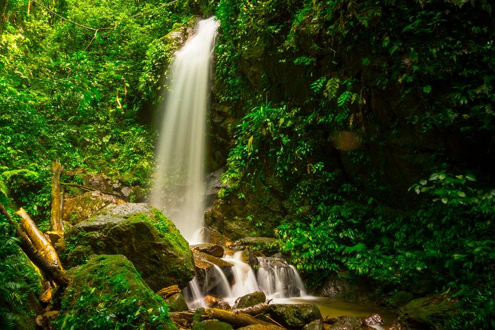 Panacam, Honduras
