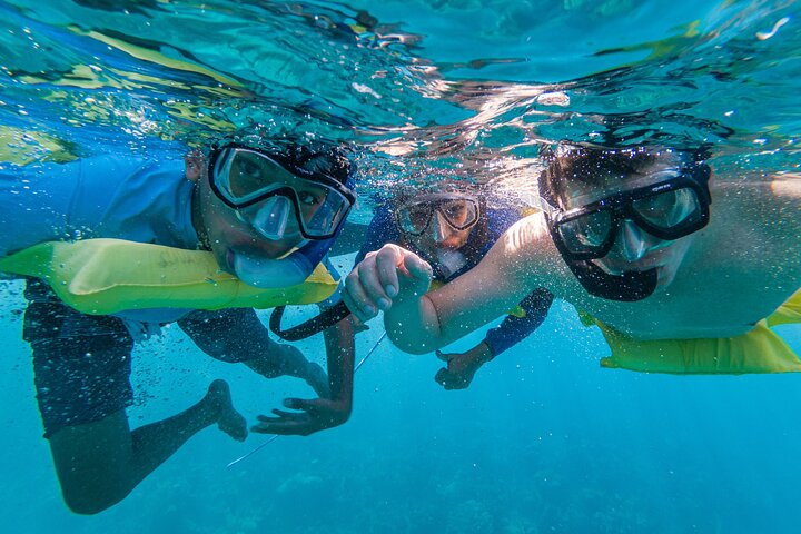 Boat and Snorkeling in West End (Blue Channel, The Aquarium, Turtle Crossing) - Photo 1 of 25