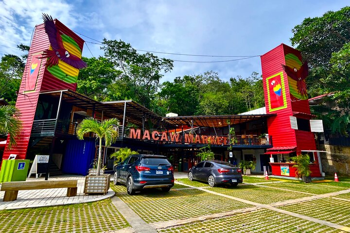 Sloth and Monkey Sanctuary Excursion in Roatan - Photo 1 of 7