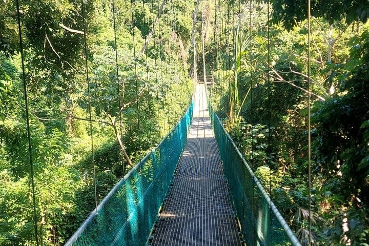 Roatan Eco Walk & Suspension Bridges and Nature Tours - Photo 1 of 10