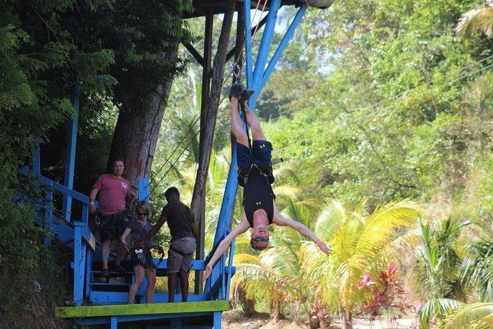 Zipping Through LushTropical Forest