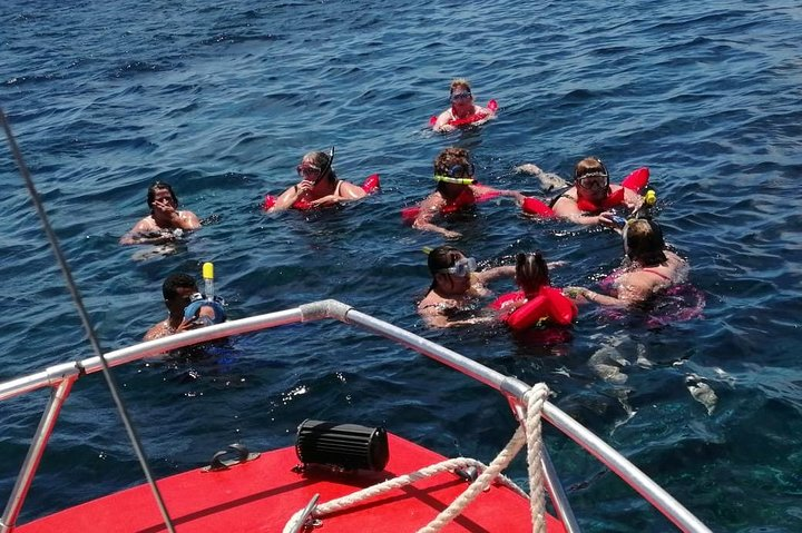 Guided Boat Tour & Snorkeling at Roatan with Pickup - Photo 1 of 5