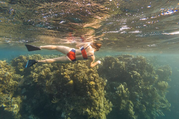 Guided Snorkeling Adventure in West Bay - Photo 1 of 24