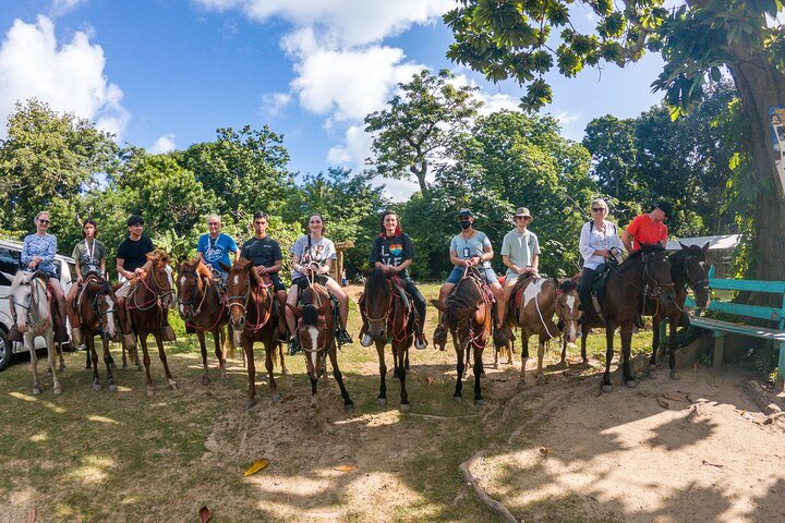 Jungle, Street and Ocean Horseback Riding in Flowers Bay