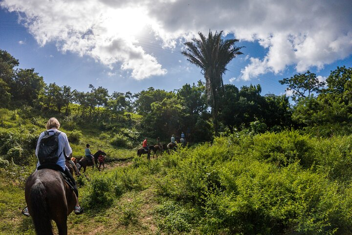 Horseback Riding Trail Tour, Roatan Letters and Ocean in Flowers Bay - Photo 1 of 13