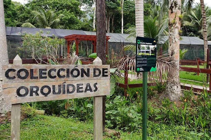 Lancetilla Botanical Garden from San Pedro Sula - Photo 1 of 6