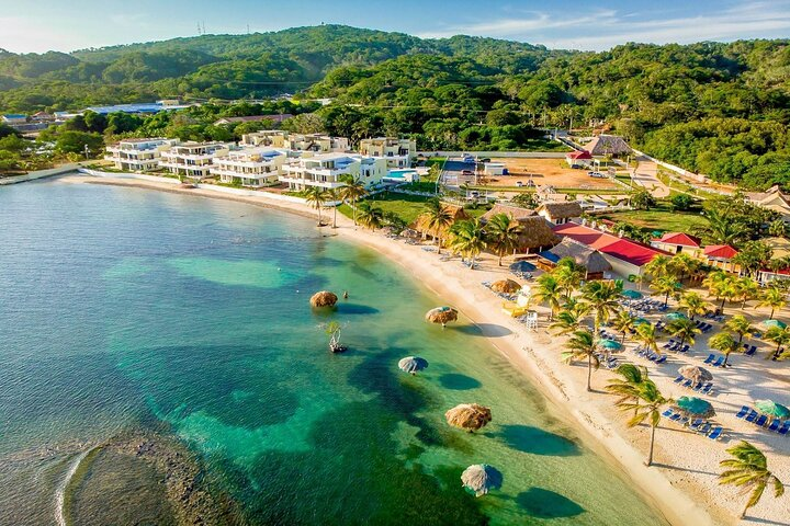 Las Palmas Beach and Roatan Island Brewing Company Private Tour with Guide - Photo 1 of 12