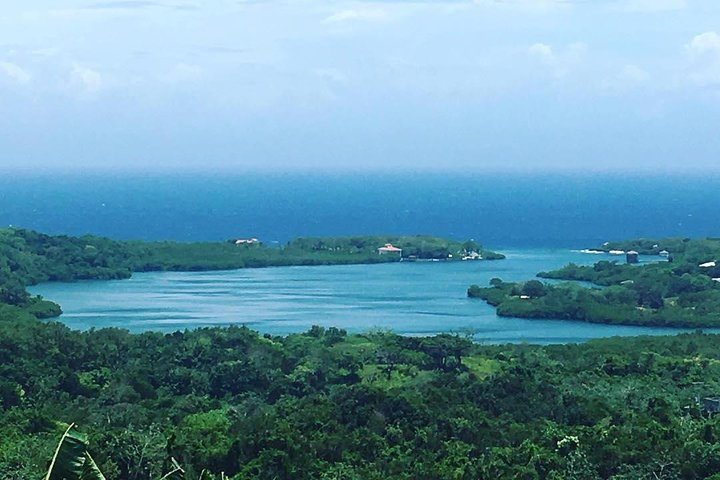 Make your day, Your way Roatan city freestyle tour - Photo 1 of 14