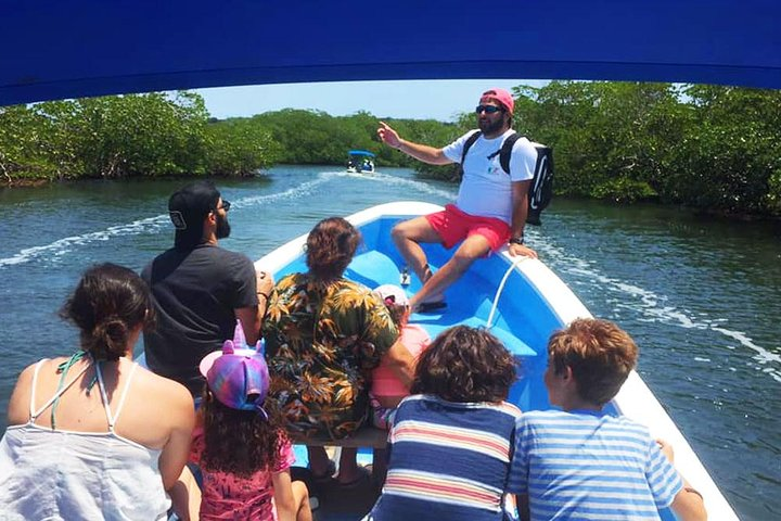 Oak Ridge Village to Pigeon Cay - Photo 1 of 25