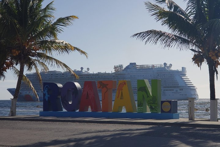 Roatan City Tour-Viewpoints, Landmarks, Chocolate and Rum Tasting - Photo 1 of 17