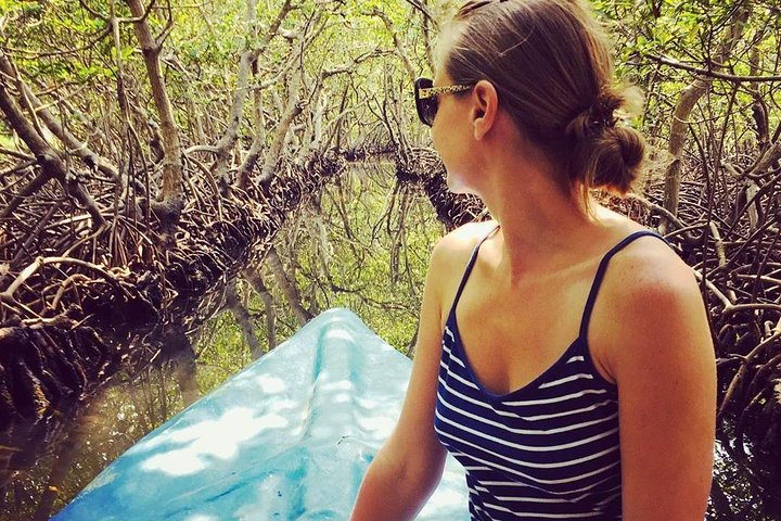 Roatan Mangrove Tunnels Adventure - Photo 1 of 6