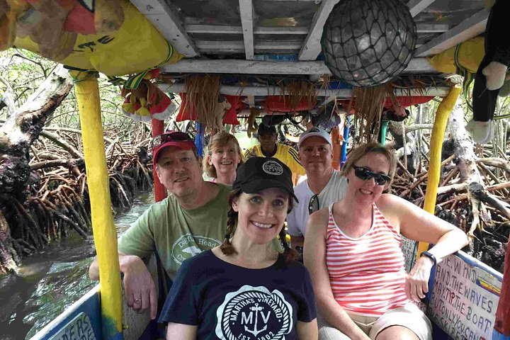 mangrove cruise
