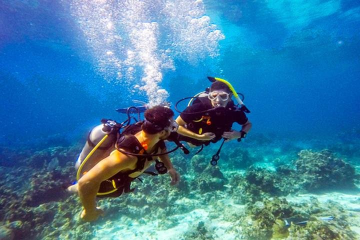 Shore Diving at Roatan Reef System