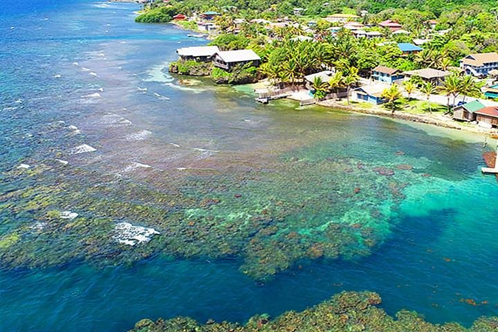A unique diving & snorkeling experience in Roatan island