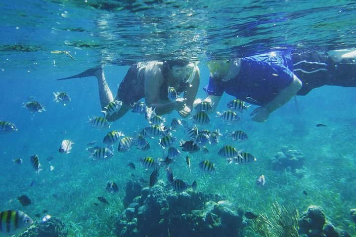 Roatan Snorkeling and City Tour - Photo 1 of 9