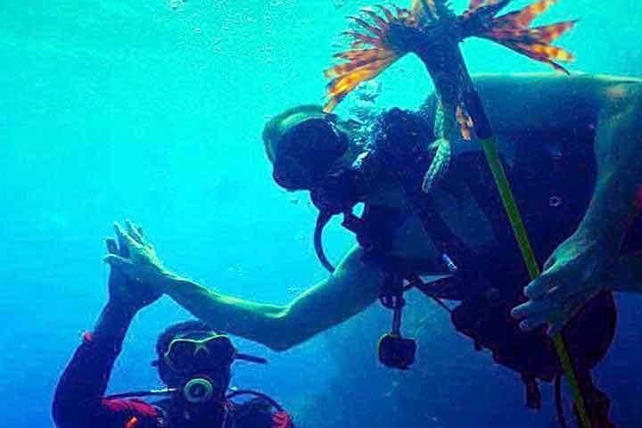 Help us keep Roatan reef clean & healthy 