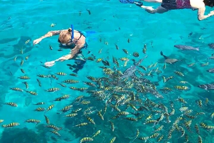 snorkeling adventure