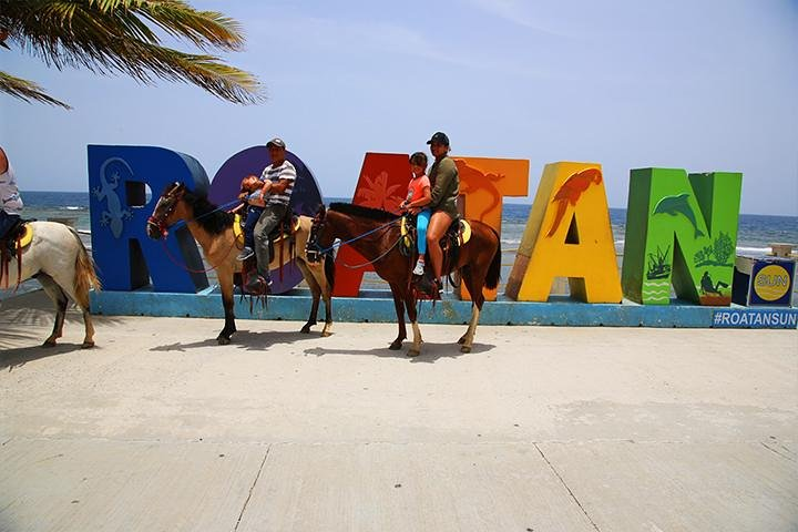 South Side Horseback Riding, Beach Break & Roundway Transfer - Photo 1 of 12