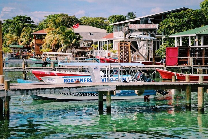 West End Tour (Choco Factory + Rum Company + Art Gallery + Rusty Fish and more) - Photo 1 of 18