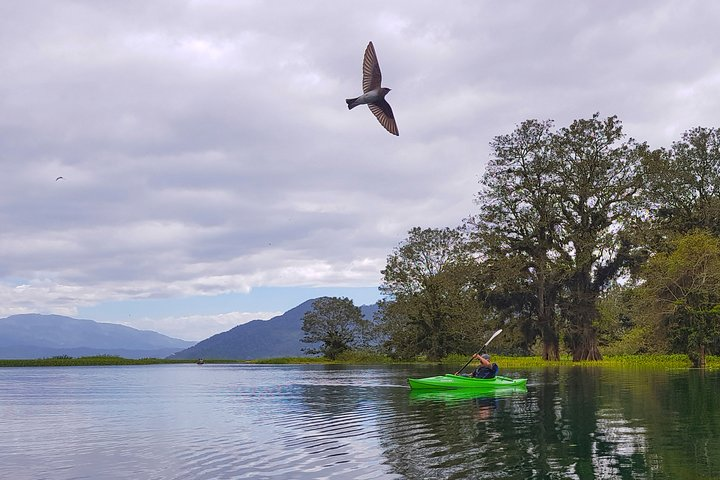 Kayak at Yojoa Lake