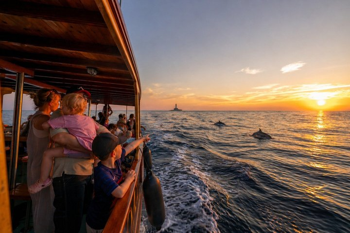 Dolphin Watching Tour - 85% Chance - Drinks & Dinner Included - Photo 1 of 24