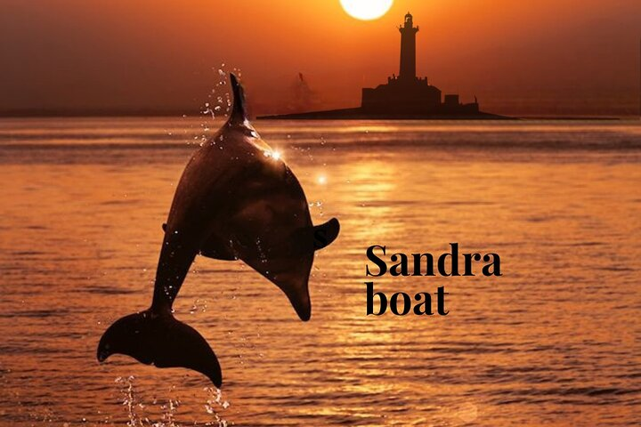 Friendly dolphin by sunset near Porer lighthouse