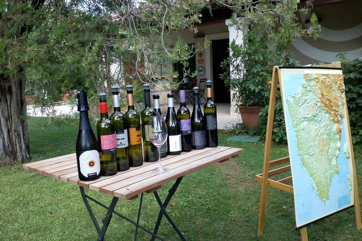 A Sample Of Wine, A Sample Of Istria - A Short But Fulfilled Program - Photo 1 of 14