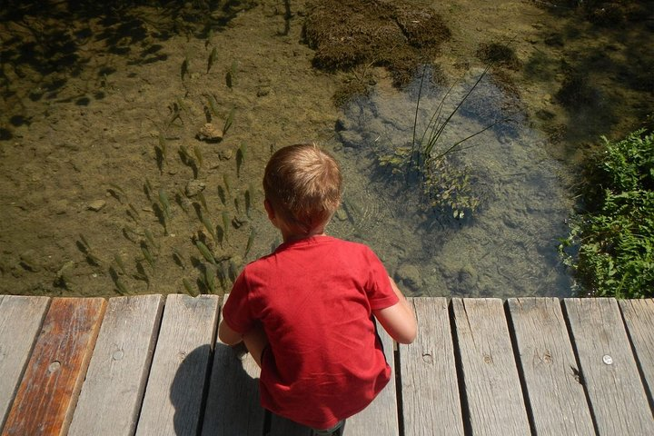 Day Trip from Dubrovnik to Krka waterfalls - Photo 1 of 7