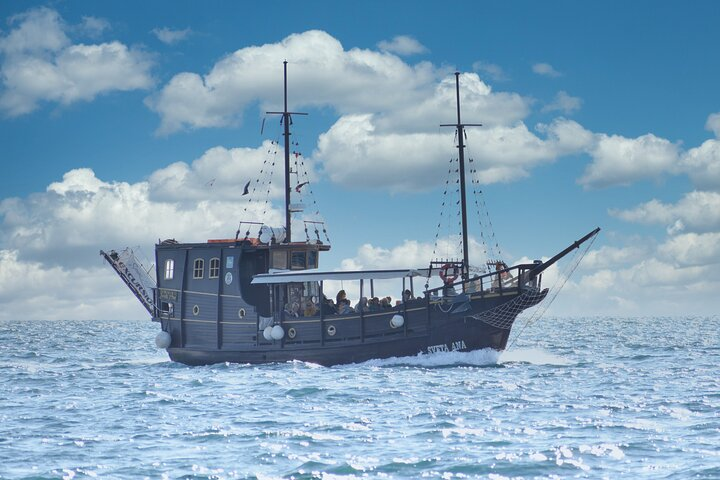 Dolphin Watching Boat Trip around Vrsar - Photo 1 of 21