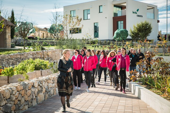 Green Line Hop-On Hop-Off - Dalmatia Nature Tour - Photo 1 of 7