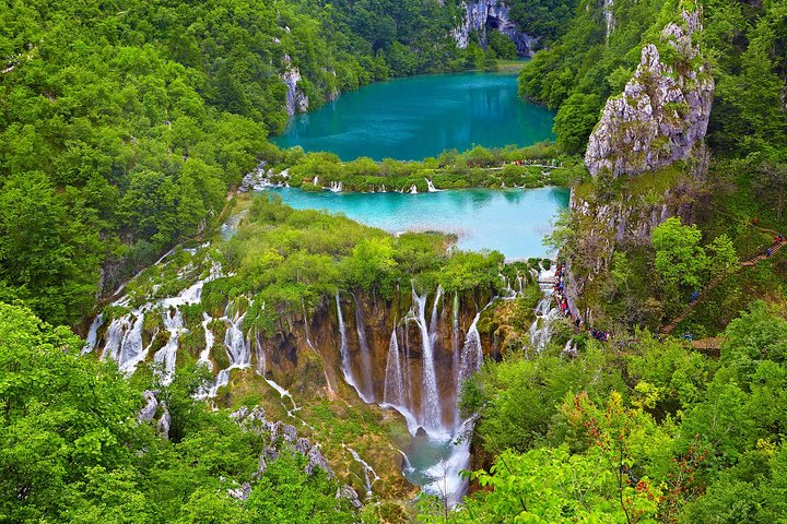 The miracles of nature