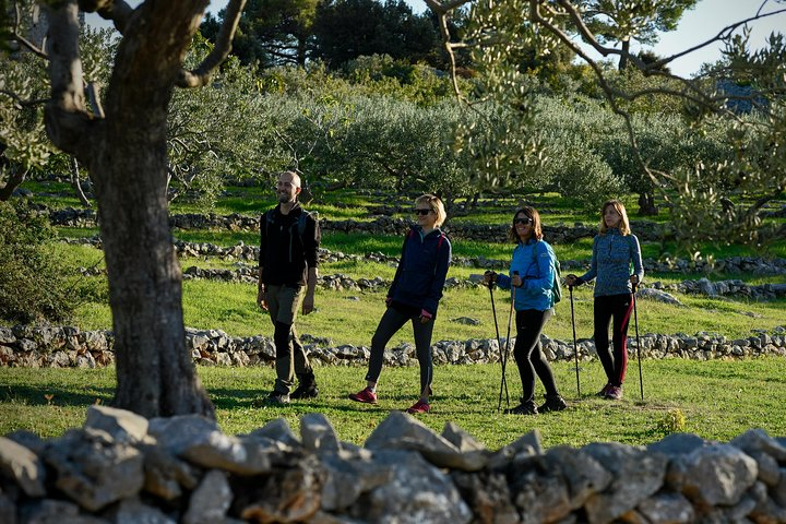 Hiking tour Vidova gora and visiting Museum of olive oil - Photo 1 of 12