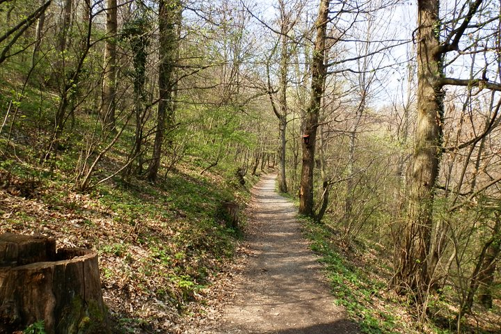 Hiking on Medvednica trail
