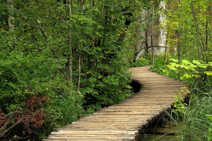 Multi-Day Guided Tour in Croatia  - Photo 1 of 18