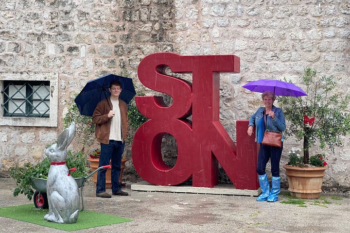 Oysters testing private tour to Ston - Photo 1 of 12