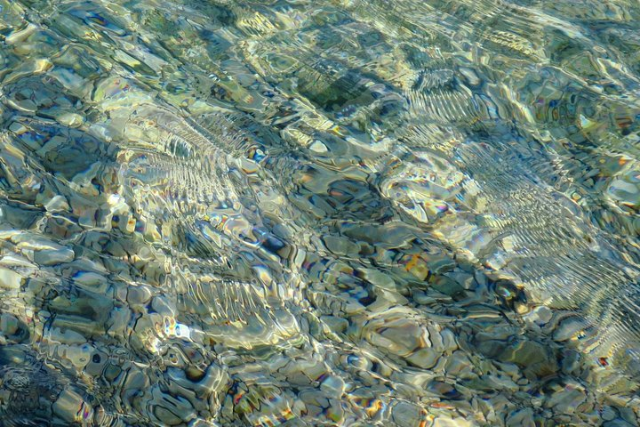 crystal clear shallows