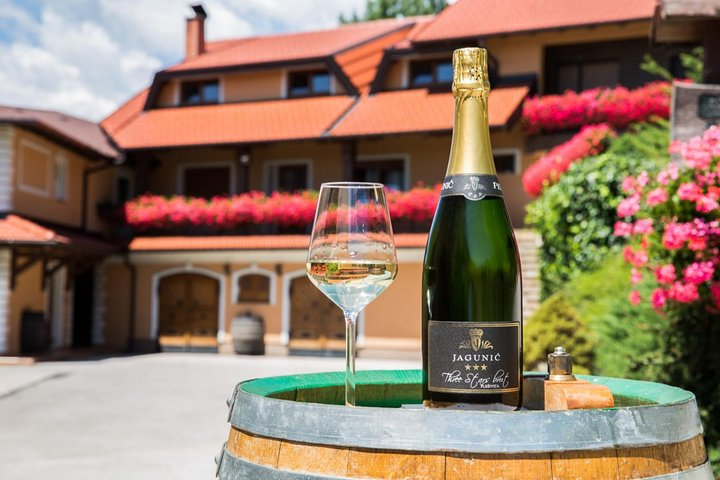 Plesivica Region Wine Tasting Half-day Tour  - Photo 1 of 8