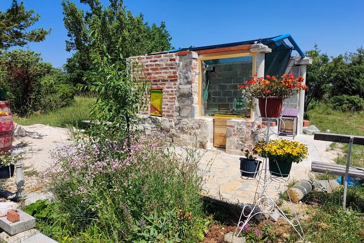 Private Bee Safari in Zadar - Photo 1 of 12