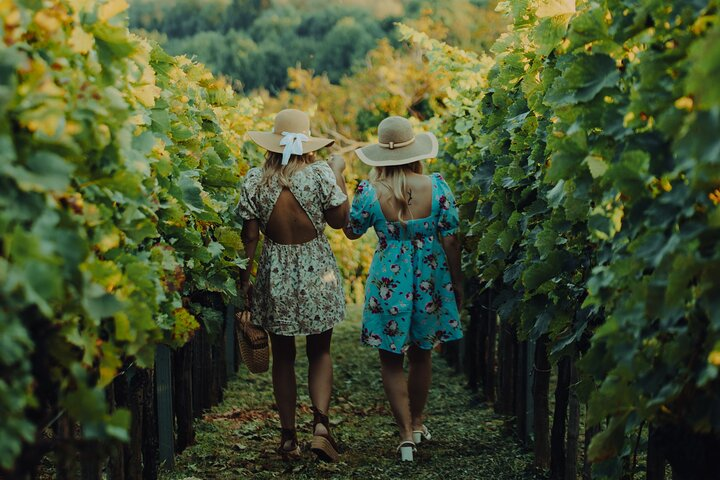 Private hedonistic food and wine experience from Zagreb - Photo 1 of 18