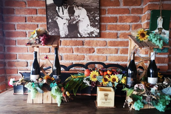 Private Wine Tour from Zagreb: Two Local Wineries & Samobor  - Photo 1 of 14